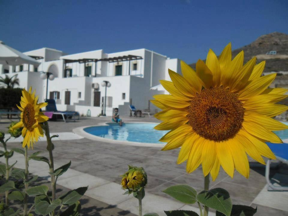 Delight Apartments Suites Stelida  Buitenkant foto